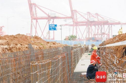 海南自贸港建设热潮 园区施工如火如荼，琼州大地气象焕新