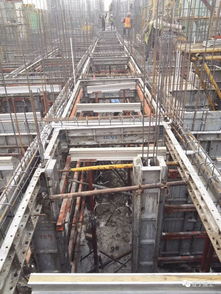 中天建设预制装配式施工现场观摩 亮点逐一呈现